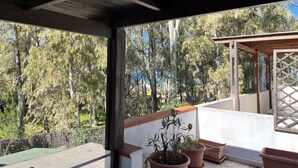 Un'area esterna riparata con tetto in legno, piante in vaso e vista su alberi e un edificio sullo sfondo.