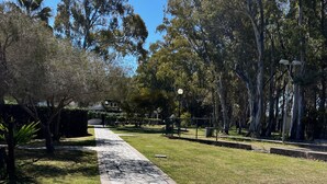 Un sentiero in pietra in un parco, con alberi e cielo sereno.