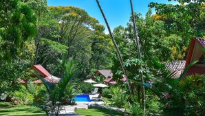 Un rigoglioso giardino con un vialetto che conduce a una zona piscina, circondata da vegetazione tropicale e edifici in stile tradizionale con tetti rossi.