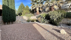 Un jardin aménagé avec un chemin de gravier, divers arbustes et des palmiers.