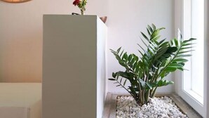 Una stanza con un pilastro bianco, una pianta in vaso, un quadro incorniciato e una finestra.