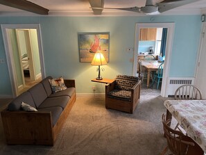 TV, fireplace - Historic Beach Side Getaway (Norfolk)