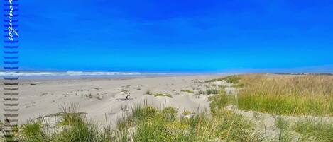 On the beach, sun-loungers