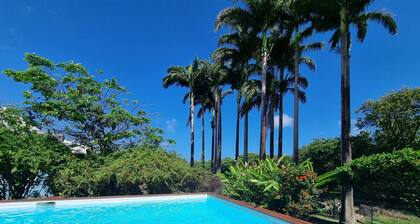 Villa Dali, 50 m from the beach, between Deshaie and Sainte Rose