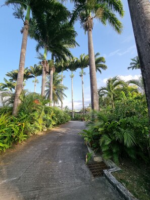 Parco della struttura