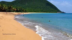 A beach with clear turquoise water, a sandy shore, and a lush green hill in the background. - Villa Dali, 50 m from the beach, between Deshaie and Sainte Rose (Sainte-Rose)