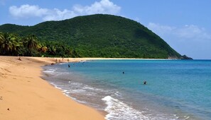 Une plage à l’eau turquoise et limpide, un rivage sablonneux et, en arrière-plan, une colline verdoyante.