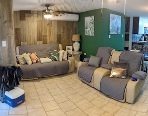 Smart TV, DVD player, books, video library
