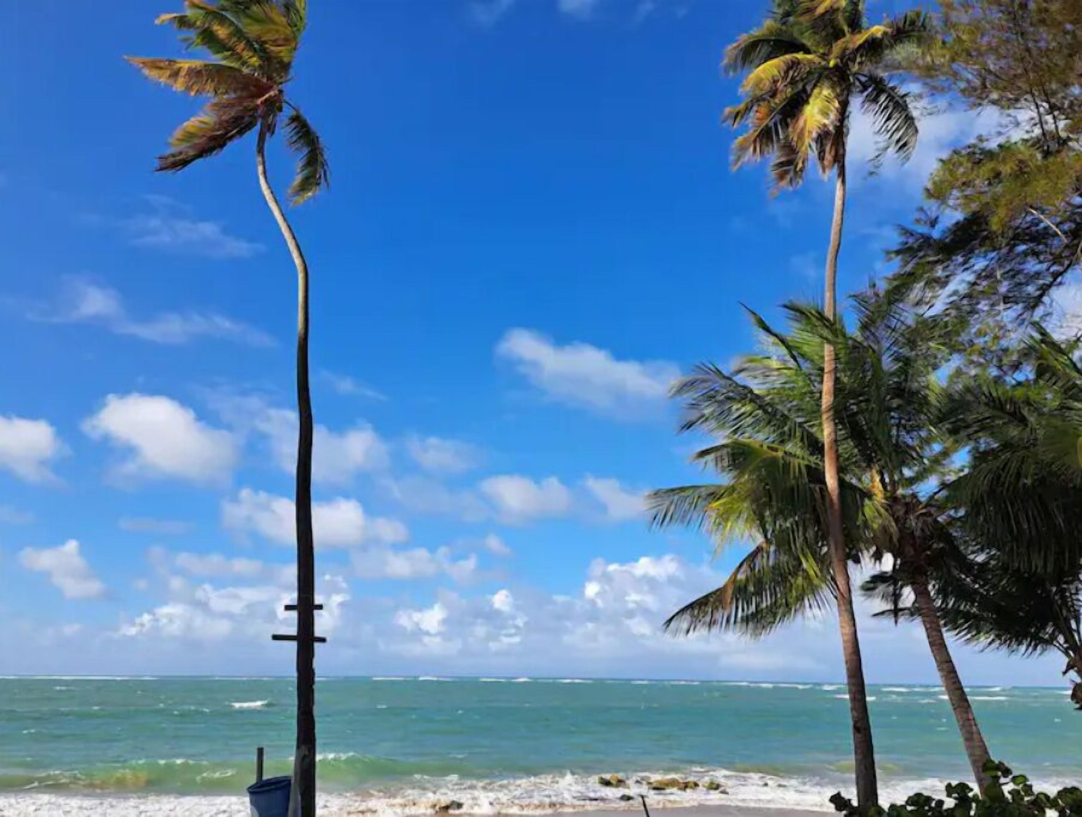 Liegestühle, Strandtücher