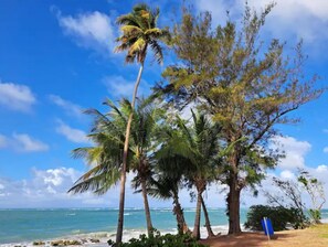 Sun loungers, beach towels