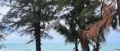 Sun-loungers, beach towels