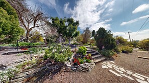 Property grounds - 6 acre Mid-century style family estate w/private orchard and valley views. (Fallbrook)