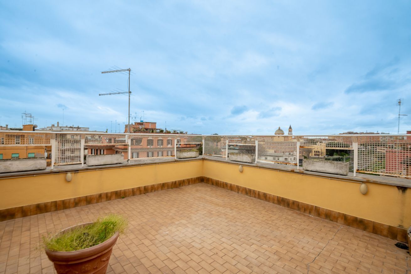 A rooftop terrace with a potted plant, a view of the cityscape, and a clear sky.