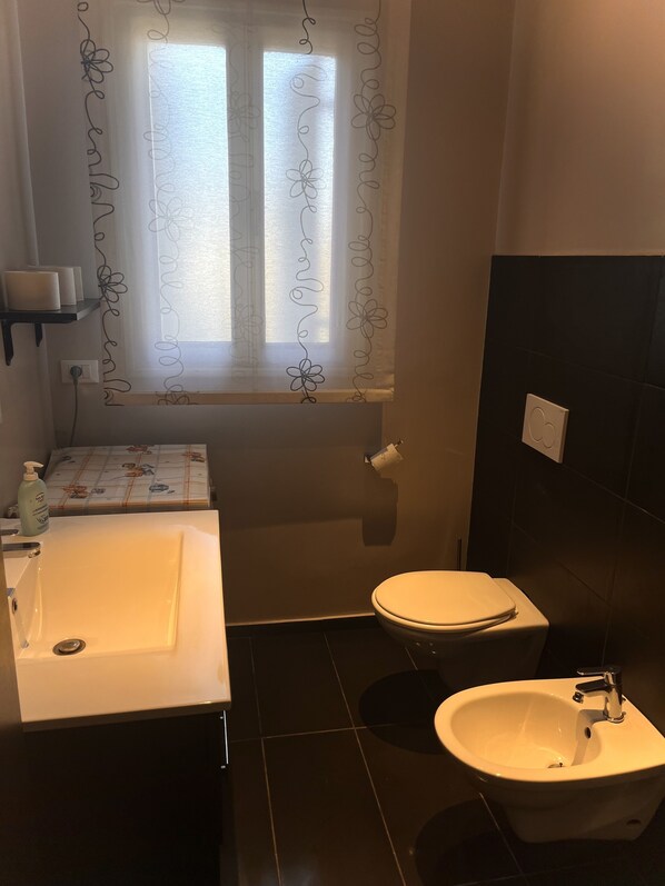 Regadera, bidet, jabón 