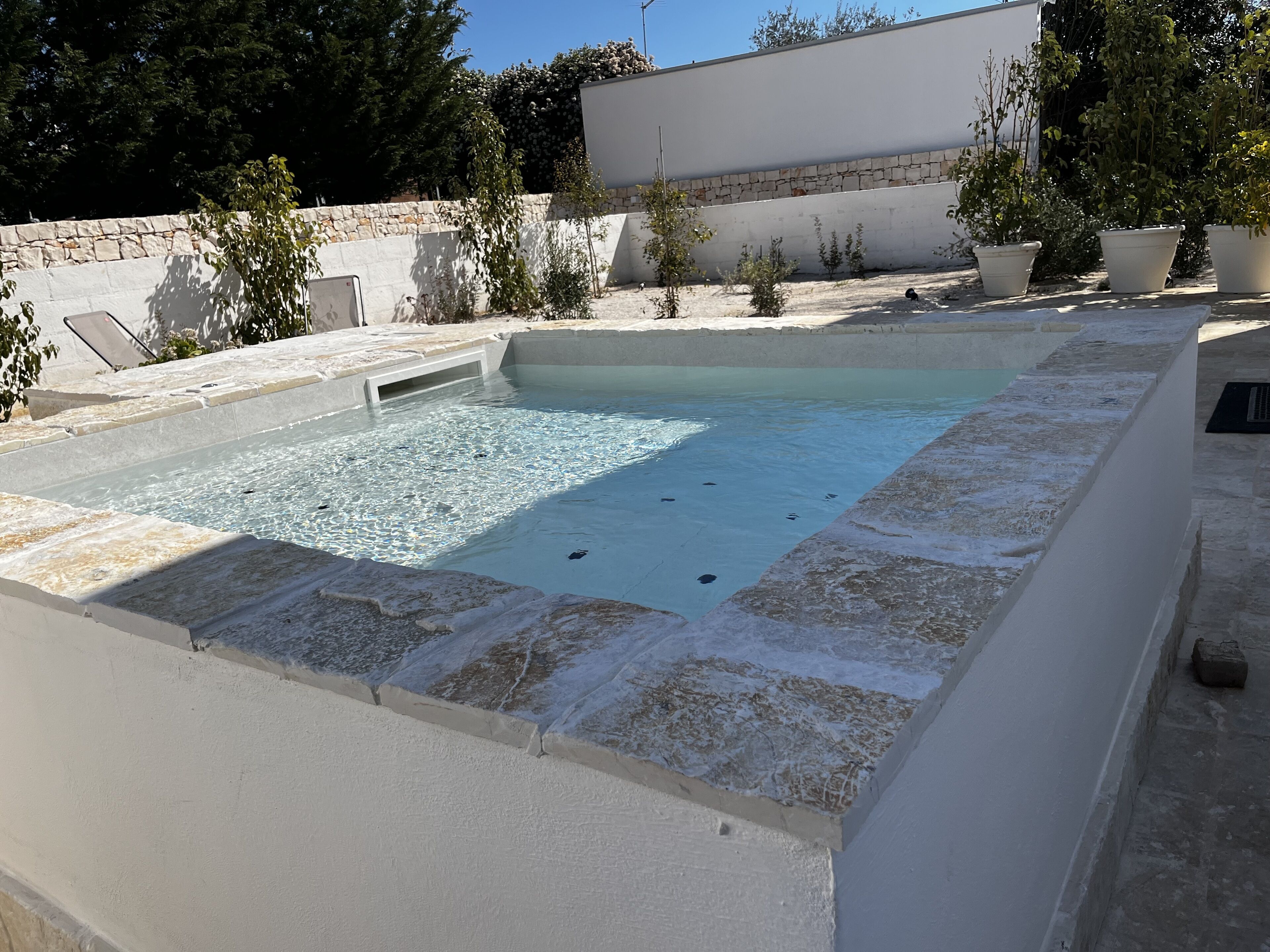 Una piscina rectangular con agua cristalina, rodeada de baldosas de piedra y plantas en macetas.