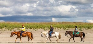 Three people riding horses on a beach with sand dunes and grassy vegetation in the background.