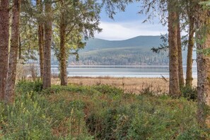 Beach nearby - 30 NIGHT MINIMUM, WOW Views, Glamorous (WillapaBay) (Long Beach)