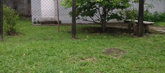 furnished studio-type room at sta.clara subd. phase 2
