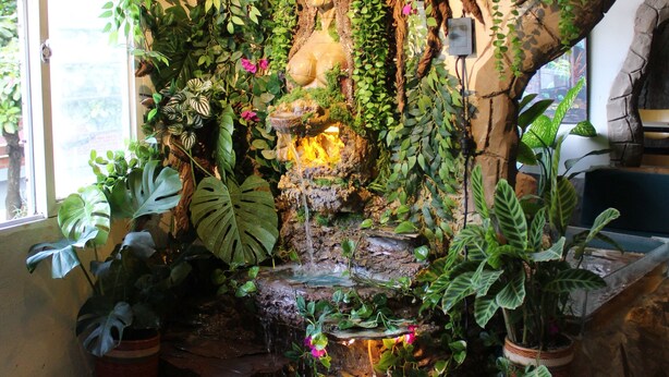 A room with a large indoor garden, a stone fountain, and a rustic stone wall. - Grand ilama Hotel (Cali)