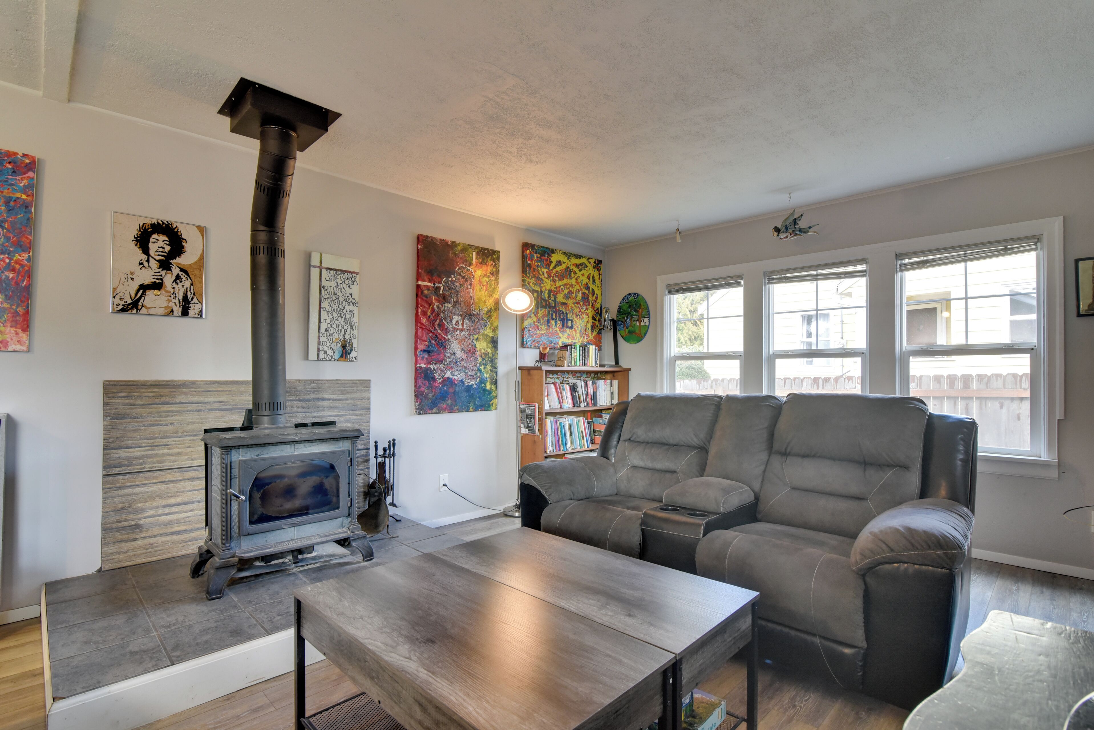 TV, fireplace, video games, books