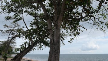 Nära stranden och vit sandstrand