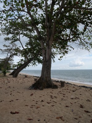 Beach nearby, white sand