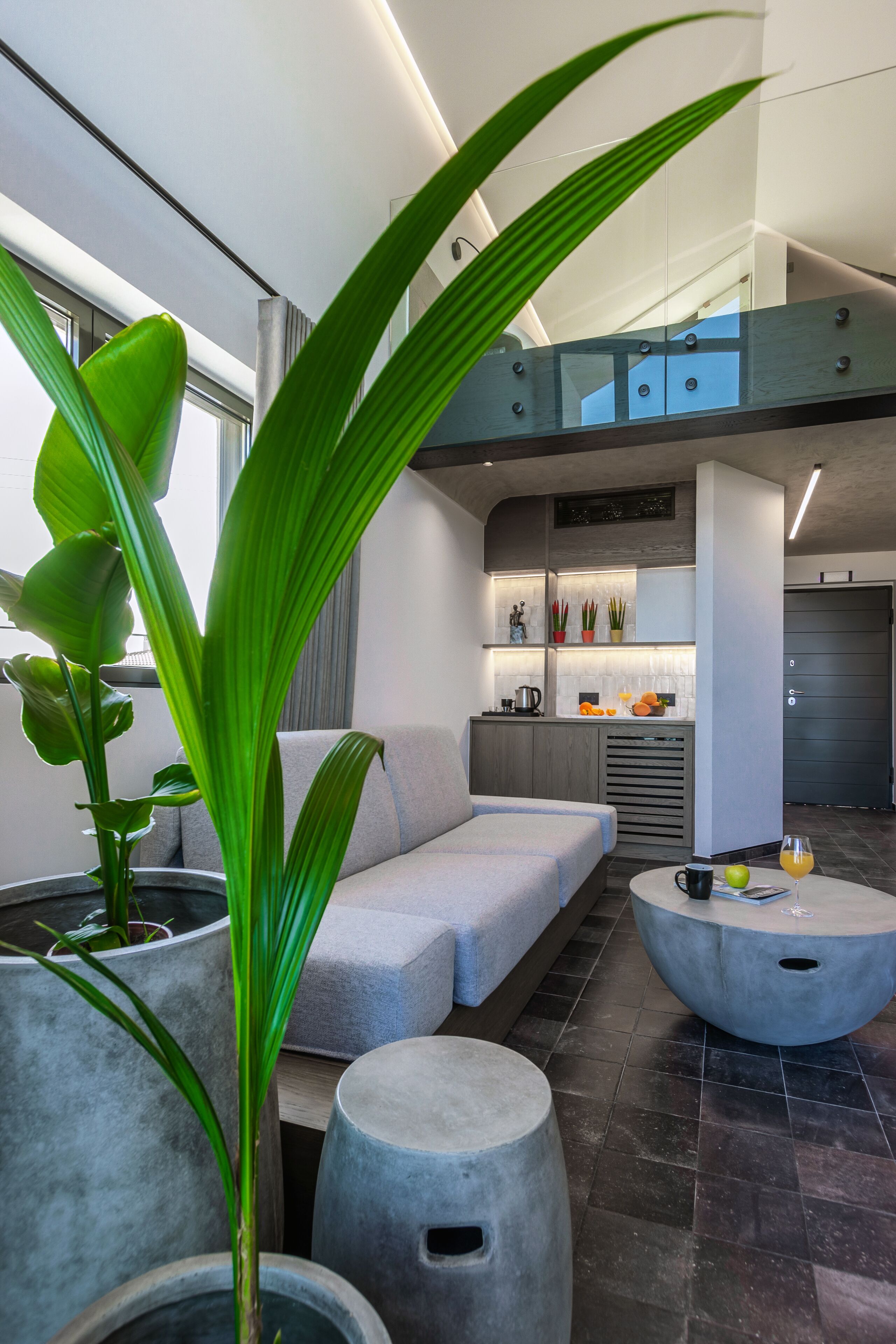 A modern living room with a grey sofa, a coffee table, and large green plants.