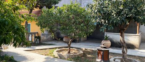 Área da propriedade