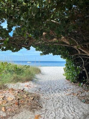 Chaises longues, serviettes de plage