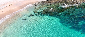 Classic beachfront shack in Malua Bay - voted top 52 stays in Australia