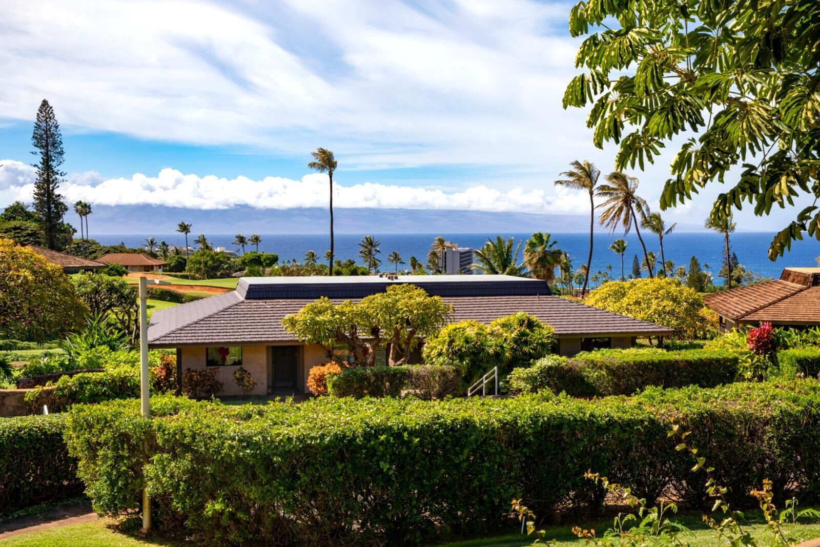 A house with a view of the ocean, surrounded by lush greenery and palm trees.