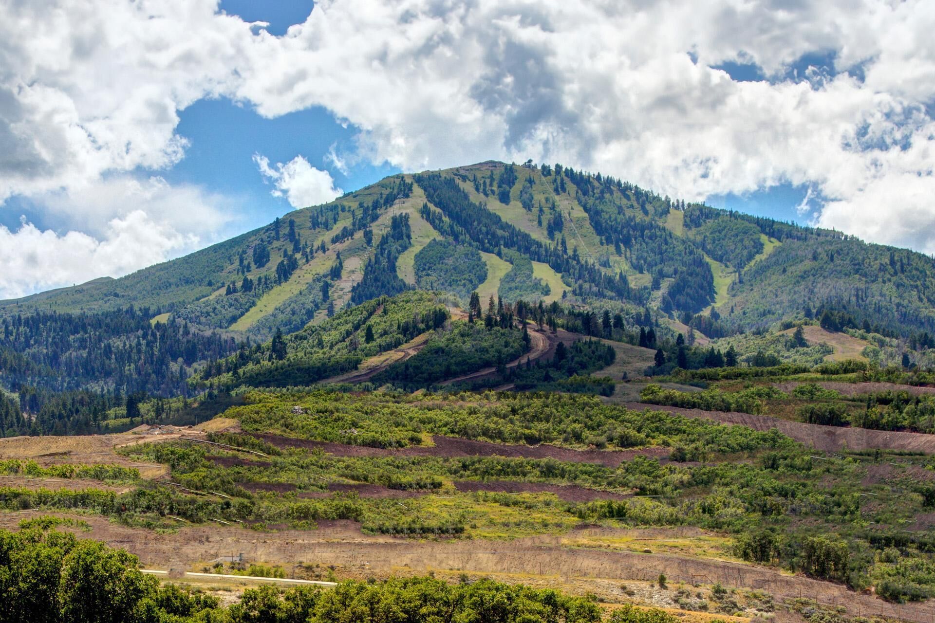 A mountainous landscape with terraced fields and dense forest.