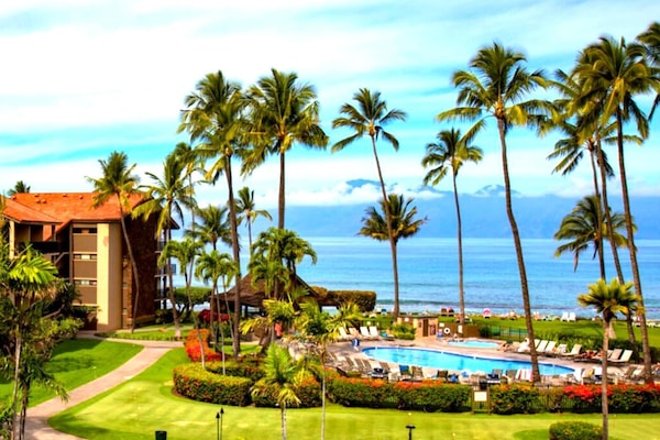 公寓客房 (3 Bedrooms) | 客房景觀