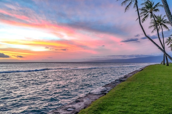 Appartement (3 Bedrooms) | Strand | Accommodatie ligt op het strand, wit zand