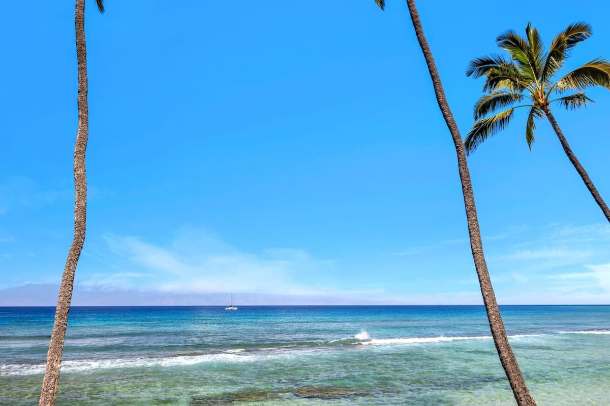 Une scène de plage avec un ciel bleu dégagé, des vagues et des palmiers.