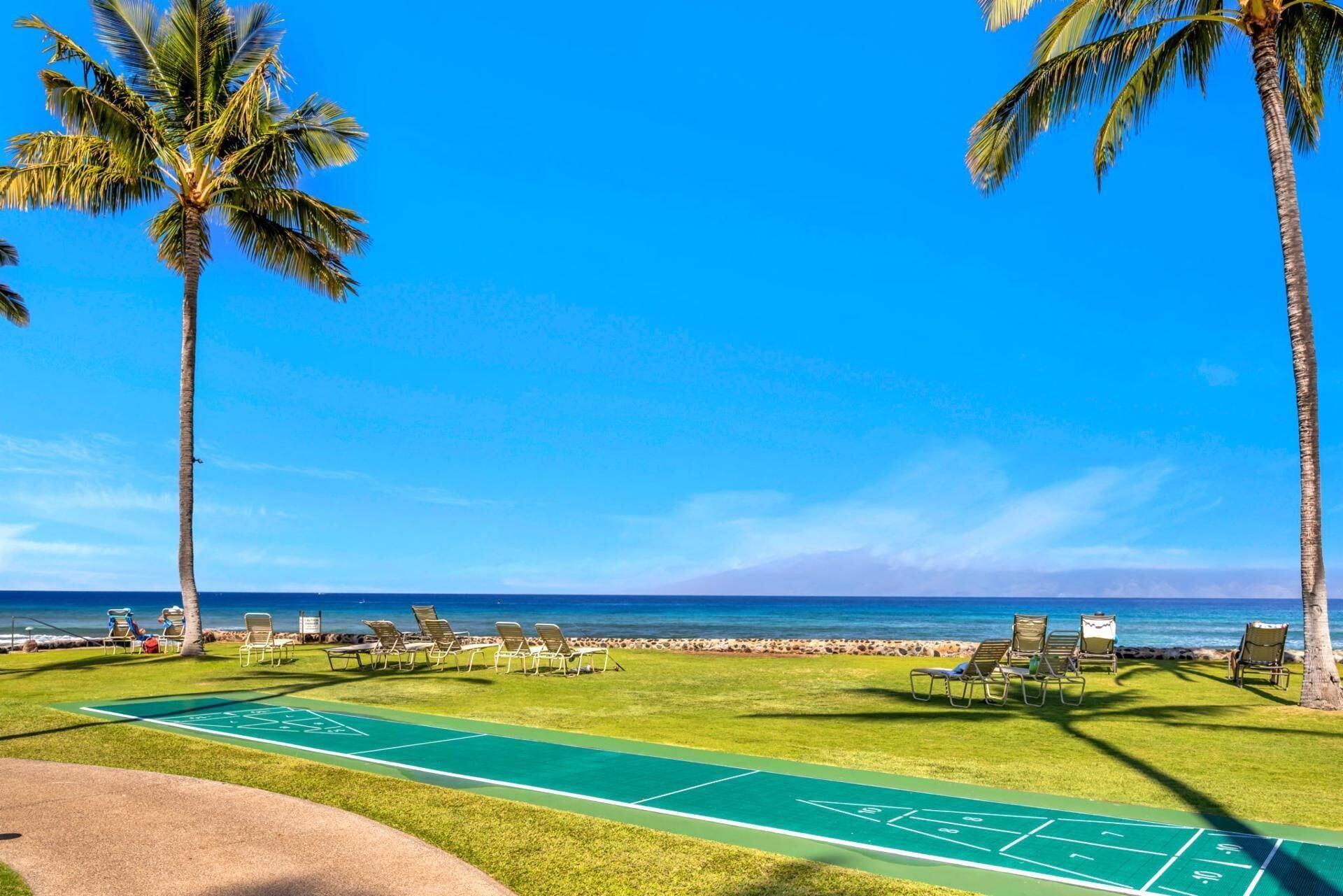 A sunny beach with a shuffleboard court, palm trees, and beach chairs.