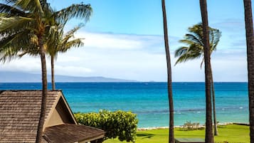 Íbúð (0 Bedroom) | Útsýni úr herberginu