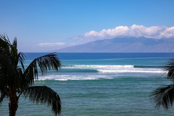 Appartement (2 Bedrooms) | Kameruitzicht