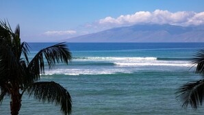 A beach with palm trees and ocean waves.