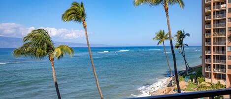 A beachfront hotel with a view of the ocean, palm trees, and a pool area.