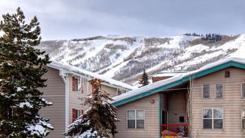 Townhome, 3 Bedrooms (Mountain View, Sleeps 6 (STR-1)) | View from room