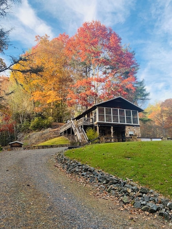 Fall leaf change