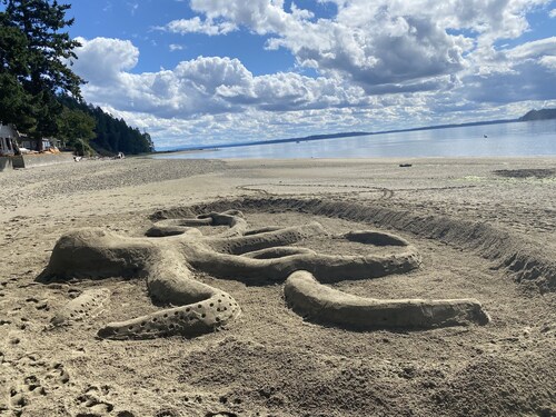 Sandy Beach Front Cottage with great Sunsets
