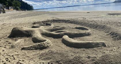 Sandy Beach Front Cottage with great Sunsets