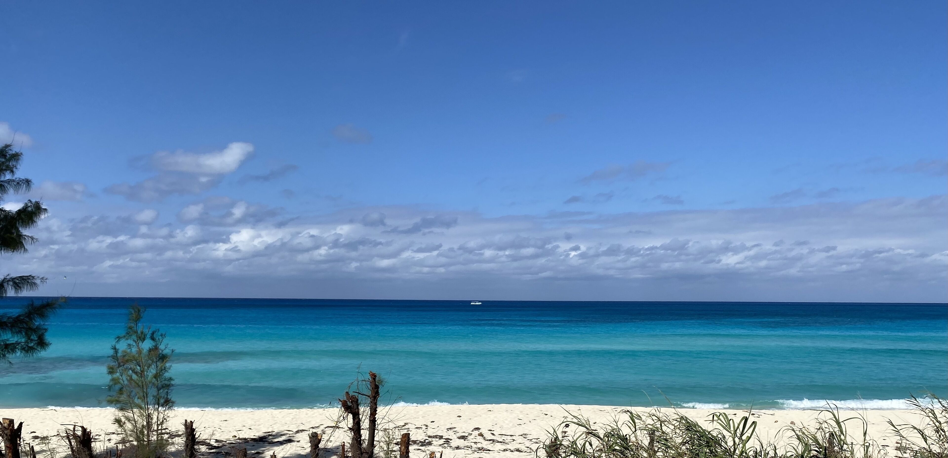 靠近海滩、沙滩毛巾