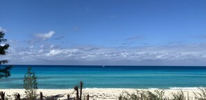 In Strandnähe, Strandtücher