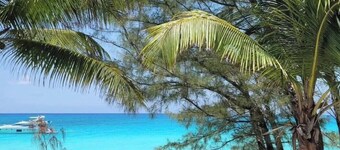 Bimini Bay, Bahamas, Good Vibes Condo 2BR/2 Sleep6