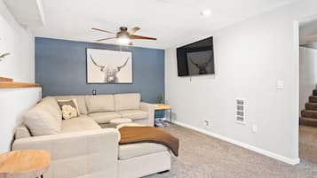 Smart TV, chimenea, libros