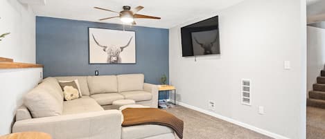 Smart TV, fireplace, books