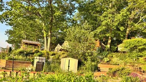 A garden with various plants and a wooden structure. - Wasaga Beach cottage  (Wasaga Beach)